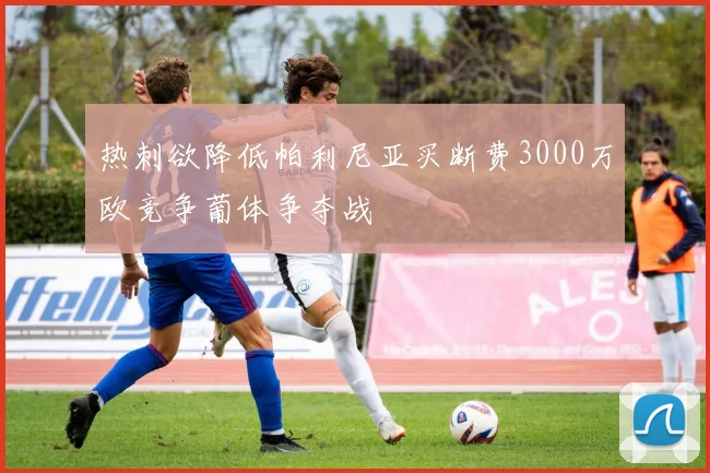 热刺欲降低帕利尼亚买断费3000万欧竞争葡体争夺战
